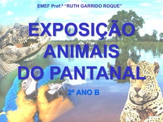 EMEF Prof.ª “RUTH GARRIDO ROQUE” 
EXPOSIÇÃO 
ANIMAIS 
DO PANTANAL 
2º ANO B 
 
