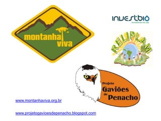 www.montanhaviva.org.br


www.projetogavioesdepenacho.blogspot.com
 