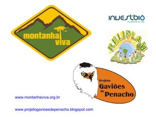 www.montanhaviva.org.br   www.projetogavioesdepenacho.blogspot.com   