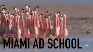 Projeto bolsas Miami Ad School 2016 - Bootcamp de Planejamento