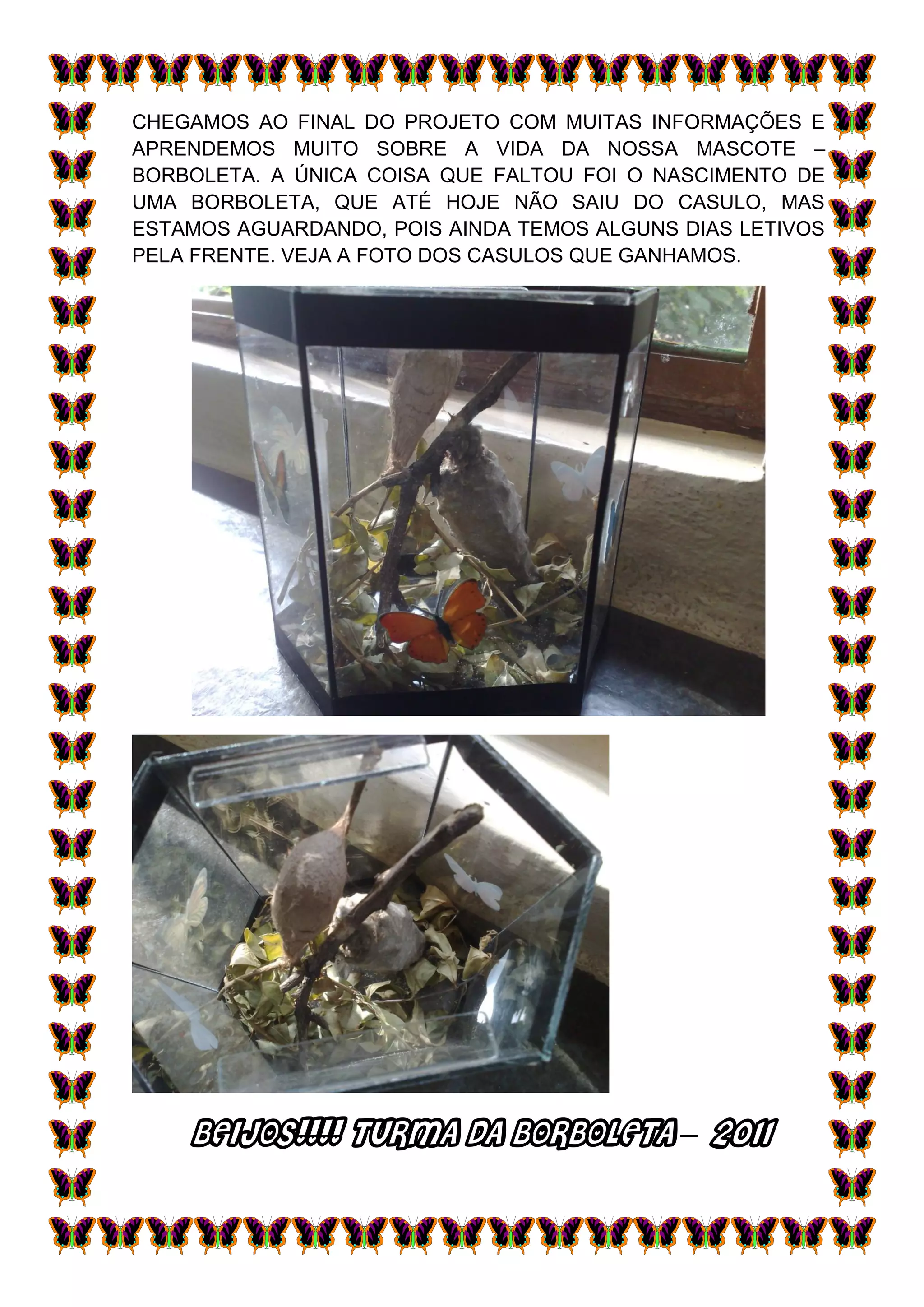 CHEGAMOS AO FINAL DO PROJETO COM MUITAS INFORMAÇÕES E
APRENDEMOS MUITO SOBRE A VIDA DA NOSSA MASCOTE –
BORBOLETA. A ÚNICA COISA QUE FALTOU FOI O NASCIMENTO DE
UMA BORBOLETA, QUE ATÉ HOJE NÃO SAIU DO CASULO, MAS
ESTAMOS AGUARDANDO, POIS AINDA TEMOS ALGUNS DIAS LETIVOS
PELA FRENTE. VEJA A FOTO DOS CASULOS QUE GANHAMOS.




    BEIJOS!!!! TURMA DA BORBOLETA – 2011
 