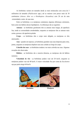As borboletas variam em tamanho desde as mais minúsculas com cerca de 3
milímetros de tamanho (Phyllocnistis spp.), até as maiores com pouco mais de 30
centímetros (Attacus Atlas ou a Ornithoptera Alexandrae) com 28 cm de uma
extremidade a outra de suas asas.
       Entre as borboletas e as mariposas contatamos algumas diferenças estruturais,
bem como nos hábitos desses lepidópteros. As diferenças são as seguintes:
       Antenas - as borboletas geralmente têm as antenas mais longas, de aparência
lisa, tendo as extremidades arredondadas, enquanto as mariposas têm as antenas mais
curtas, grossas e de aparência peluda.
       Corpo - as borboletas têm o corpo mais delgado, as mariposas os têm
atarracados.
       Asas - quando em repouso, as borboletas guardam suas asas dispostas para cima,
juntas, enquanto as mariposas dispõem suas asas coladas ao longo do corpo.
       Colorido das asas - as borboletas tendem a ter mais colorido nas asas. Algumas
exceções são observadas.
       Hábitos - as borboletas são a maioria diuturna, as mariposas são de hábitos
noturnos.
       Velocidade de vôo - as borboletas podem voar até 20 km/h, enquanto as
mariposas podem voar até 40 km/h. A maior velocidade fica por conta da Euschemon
ssp que pode atingir 60 km/h.




                                                                                   8
 