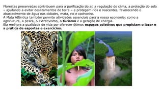 Florestas preservadas contribuem para a purificação do ar, a regulação do clima, a proteção do solo
– ajudando a evitar deslizamentos de terra – e protegem rios e nascentes, favorecendo o
abastecimento de água nas cidades, mata, rio e cachoeira.
A Mata Atlântica também permite atividades essenciais para a nossa economia: como a
agricultura, a pesca, o extrativismo, o turismo e a geração de energia.
Ela melhora a qualidade de vida por oferecer ótimos espaços coletivos que propiciam o lazer e
a prática de esportes e exercícios.
 