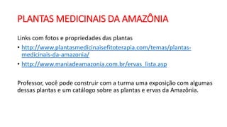 PLANTAS MEDICINAIS DA AMAZÔNIA
Links com fotos e propriedades das plantas
• http://www.plantasmedicinaisefitoterapia.com/temas/plantas-
medicinais-da-amazonia/
• http://www.maniadeamazonia.com.br/ervas_lista.asp
Professor, você pode construir com a turma uma exposição com algumas
dessas plantas e um catálogo sobre as plantas e ervas da Amazônia.
 