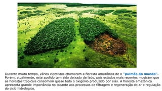 Durante muito tempo, vários cientistas chamaram a floresta amazônica de o "pulmão do mundo".
Porém, atualmente, este apelido tem sido deixado de lado, pois estudos mais recentes mostram que
as florestas tropicais consomem quase todo o oxigênio produzido por elas. A floresta amazônica
apresenta grande importância no tocante aos processos de filtragem e regeneração do ar e regulação
do ciclo hidrológico.
 