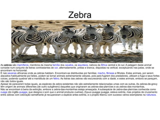 Zebra As  zebras  são  mamíferos , membros da mesma  família  dos  cavalos , os  equídeos , nativos da  África  central e do sul. A pelagem deste animal consiste num conjunto de listras contrastantes de  cor , alternadamente, pretas e branca, dispostas na vertical, exceptuando nas patas, onde se encontram na horizontal. É nas  savanas  africanas onde as zebras habitam. Encontram-se distribuídas por famílias:  macho ,  fêmeas  e filhotes. Estes animais, por serem atacados habitualmente por leões, podem se tornar animais extremamente velozes, pois para fugirem dos predadores, utilizam a fuga e seus fortes coices, podendo quebrar até a mandibula de um  felino . As listras das zebras vão escurecendo com a idade, e estes animais, embora se pareçam, não são todos iguais. Apesar de parecerem todas iguais, as espécies de zebra existentes não são estreitamente relacionadas umas com as outras. As zebras-de-grevy têm origem de animais diferentes (de outro subgênero) daqueles que originaram as zebras-das-planícies e as zebras-das-montanhas. Não se encontram à beira da extinção, embora a zebra-das-montanhas esteja ameaçada. A subespécie de zebra-das-planícies conhecida como  cuaga  (do inglês  quagga , que designa o som que o animal produzia  cuahaa ),  Equus quagga quagga , estava extinta, mas projetos de cruzamento entre zebras com coloração semelhante já recuperaram a espécie antes extinta, e o projeto liberou com sucesso vários exemplares na  natureza . 