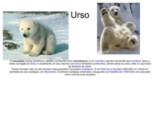 Urso O  urso-polar  ( Ursus maritimus ), também conhecido como  urso-branco , é um  mamífero  membro da família dos  Ursídeos , típico e nativo da região do  Ártico  e atualmente um dos maiores  carnívoros  terrestres conhecidos. Dentre todos os ursos, este é o que mais se alimenta de carne. Fáceis de tratar, são um dos animais mais populares nos jardins  zoológicos . O rei  Ptolomeu II  do  Egito  (285-246  a.C. ) tinha um exemplar em seu zoológico, em  Alexandria . O primeiro zoológico americano, inaugurado na  Filadélfia  em  1859  tinha um urso-polar como uma de suas atrações 