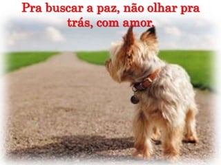 Pra buscar a paz, não olhar pra trás, com amor.
