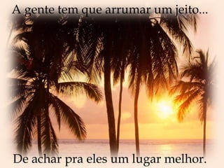 A gente tem que arrumar um jeito...De achar pra eles um lugar melhor.