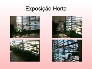 Exposição Horta 