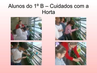 Alunos do 1º B – Cuidados com a Horta 