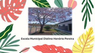 Escola Municipal Diolino Honório Pereira
 
