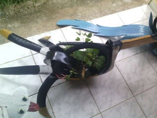 Projeto cisternas nas escolas