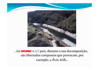…irá contaminar o pois, durante a sua decomposição,
são libertados compostos que provocam, por
exemplo, a chuva ácida…
 