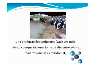 … na produção de ruminantes (cada vez mais
elevada porque são uma fonte de alimento cada vez
mais explorada) é emitido CH4…
 