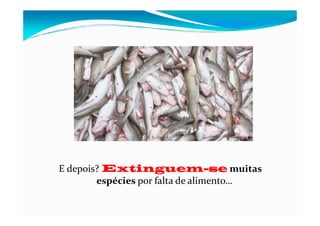 E depois? Extinguem-se muitas
espécies por falta de alimento…
 