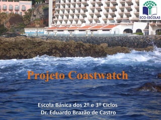 Projeto Coastwatch
 