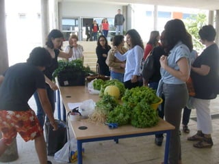 Alvito_ComéniusProject_horta biológica parte 2