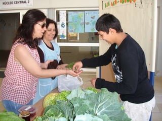 Alvito_ComéniusProject_horta biológica parte 2