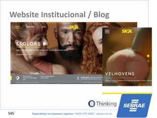 S45
Website Institucional / Blog
 
