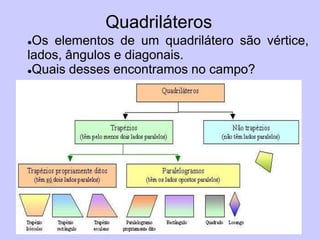 Quadriláteros
Os elementos de um quadrilátero são vértice,
lados, ângulos e diagonais.
Quais desses encontramos no campo?
 