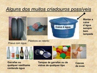 Alguns dos muitos criadouros possíveisManter a caixa d´água sempre bem tampadaCaixa d águaPlásticos ao relentoPneus com águaGarrafas ou qualquer vasilhame contendo águaTampas de garrafas ou de vidros de qualquer tipoCascas de ovos