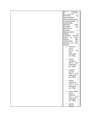 Figura 2 - Classificador
de amêndoas
Foto: Joana Souza
Conforme as
especificações
para padronização,
comercialização e
classificação
definidas pelo
Ministério da
Agricultura
Pecuária e
Abastecimento
(MAPA), as
amêndoas descas
cadas ou sem
película são
classificadas por
tamanho em oito
classes:
• miudinha
(tiny):
acima de
180
amêndoas
por 453g.
• miúda
(midget):
160 a 180
amêndoas
por 453g.
• pequena
(small):
140 a 159
amêndoas
por 453g.
• média
(medium):
110 a 139
amêndoas
por 453g.
• extra média
(extra-
medium):
102 a 114
amêndoas
por 453g.
• grande
(large):
 