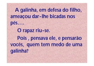 A galinha, em defesa do filho,
ameaçou dar-lhe bicadas nos
pés….
   O rapaz riu-se.
   Pois , pensava ele, e pensarão
vocês, quem tem medo de uma
galinha?
 