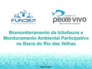 Biomonitoramento da Ictiofauna e
Monitoramento Ambiental Participativo
na Bacia do Rio das Velhas
Abril de 2017
 