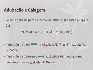 Adubação e Calagem
• Calcário agrícola para obter V=60% 0,92 ton/ha (4-5ppm
Ca);
𝑁𝐶 = 𝐴𝑙 ∗ 2 + 2 − 𝐶𝑎 + 𝑀𝑔 [T/ha]
• Adubação de base 250kg/ha NPK (6:30:6) + 0,75Kg/ha
de ZnSO4;
• Adubação de Cobertura 125kg/ha NPK (20:0:20) nos 3
primeiros anos + 0,75kg/ha de Borex.
 