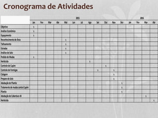 Cronograma de Atividades
Jan Fev Mar Abr Mai Jun Jul Ago Set Out Nov Dez Jan Fev Mar Abr
Objetivo x
AnáliseEconômica x
Espaçamento x
ReconhecimentodeÁrea x
Talhoamento x
Estradas x
AnálisedeSolo x
PedidodeMudas x
Herbicida x
ControledeCupim x
ControledeFormigas x x
Calagem x
PreparodoSolo x
AdubaçãodePlantio x
TratamentodemudascontraCupim x
Plantio x
AdubaçãodeCobertura+B x
Herbicida x
2015 2016
 