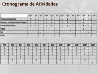 Cronograma de Atividades
2016 2017 2018 2019 2020 2021 2022 2023 2024 2025 2026 2027 2028
ManutençãodoEquipamento x x x x x x x x x x x x x
Amostragem,monitoramentoecontroledepragas x x x x x x x x x x x x x
Controledeplantasdaninhas x x x x x x x x x x x x x
Desbaste x x
Poda x x x x
Colheita
2029 2030 2031 2032 2033 2034 2035 2036 2037 2038 2039 2040
x x x x x x x x x x x x
x x x x x x x x x x x x
x x x x x x x x x x x x
x x
x x x x
x
 