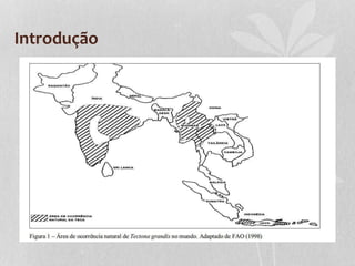 Introdução
 