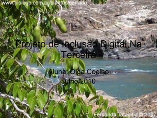 Projeto de Inclusão Digital Na Terceira Aluna: Olga Coelho Julho/2010 