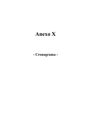 Anexo X


- Cronograma -
 