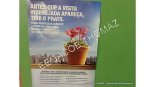 Projeto dengue