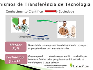 Mecanismos de Transferência de Tecnologia Conhecimento Científico Sociedade Necessidade Market Pull Conhecimento Technolog...