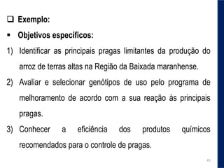  Exemplo:
 Objetivos específicos:
1) Identificar as principais pragas limitantes da produção do
arroz de terras altas na Região da Baixada maranhense.
2) Avaliar e selecionar genótipos de uso pelo programa de
melhoramento de acordo com a sua reação às principais
pragas.
3) Conhecer a eficiência dos produtos químicos
recomendados para o controle de pragas.
45
 