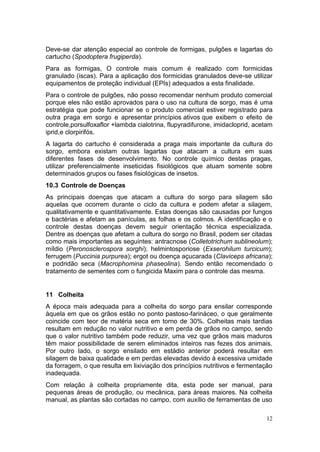 12
Deve-se dar atenção especial ao controle de formigas, pulgões e lagartas do
cartucho (Spodoptera frugiperda).
Para as formigas, O controle mais comum é realizado com formicidas
granulado (iscas). Para a aplicação dos formicidas granulados deve-se utilizar
equipamentos de proteção individual (EPIs) adequados a esta finalidade.
Para o controle de pulgões, não posso recomendar nenhum produto comercial
porque eles não estão aprovados para o uso na cultura de sorgo, mas é uma
estratégia que pode funcionar se o produto comercial estiver registrado para
outra praga em sorgo e apresentar princípios ativos que exibem o efeito de
controle,porsulfoxaflor +lambda cialotrina, flupyradifurone, imidacloprid, acetam
iprid,e clorpirifós.
A lagarta do cartucho é considerada a praga mais importante da cultura do
sorgo, embora existam outras lagartas que atacam a cultura em suas
diferentes fases de desenvolvimento. No controle químico destas pragas,
utilizar preferencialmente inseticidas fisiológicos que atuam somente sobre
determinados grupos ou fases fisiológicas de insetos.
10.3 Controle de Doenças
As principais doenças que atacam a cultura do sorgo para silagem são
aquelas que ocorrem durante o ciclo da cultura e podem afetar a silagem,
qualitativamente e quantitativamente. Estas doenças são causadas por fungos
e bactérias e afetam as panículas, as folhas e os colmos. A identificação e o
controle destas doenças devem seguir orientação técnica especializada.
Dentre as doenças que afetam a cultura do sorgo no Brasil, podem ser citadas
como mais importantes as seguintes: antracnose (Colletotrichum sublineolum);
míldio (Peronosclerospora sorghi); helmintosporiose (Exserohilum turcicum);
ferrugem (Puccinia purpurea); ergot ou doença açucarada (Claviceps africana);
e podridão seca (Macrophomina phaseolina). Sendo então recomendado o
tratamento de sementes com o fungicida Maxim para o controle das mesma.
11 Colheita
A época mais adequada para a colheita do sorgo para ensilar corresponde
àquela em que os grãos estão no ponto pastoso-farináceo, o que geralmente
coincide com teor de matéria seca em torno de 30%. Colheitas mais tardias
resultam em redução no valor nutritivo e em perda de grãos no campo, sendo
que o valor nutritivo também pode reduzir, uma vez que grãos mais maduros
têm maior possibilidade de serem eliminados inteiros nas fezes dos animais.
Por outro lado, o sorgo ensilado em estádio anterior poderá resultar em
silagem de baixa qualidade e em perdas elevadas devido à excessiva umidade
da forragem, o que resulta em lixiviação dos princípios nutritivos e fermentação
inadequada.
Com relação à colheita propriamente dita, esta pode ser manual, para
pequenas áreas de produção, ou mecânica, para áreas maiores. Na colheita
manual, as plantas são cortadas no campo, com auxílio de ferramentas de uso
 