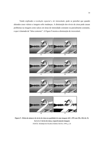 30




       Tendo explicado a resolução espacial e de intensidade, pode se perceber que quando
alterados esses valores a imagem sofre mudanças. A diminuição dos níveis de cinza pode causar
problemas na imagem como sulcos em áreas de intensidade constante ou parcialmente constante,
o que é chamado de “falso contorno”. A Figura 9 mostra a diminuição de intensidade.




 Figura 9 - Efeito do número de níveis de cinza na qualidade de uma imagem 442 x 299 com 256, 128, 64, 32,
                            16, 8, 4 e 2 níveis de cinza, respectivamente imagem
                          FONTE: MARQUES FILHO,VIEIRA NETO; 1999; p. 24
 