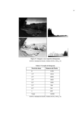 35




 Figura 13 - Imagens e seus respectivos histogramas
FONTE: MARQUES FILHO; VIEIRA NETO, 1999, p. 58


          Tabela 1- Exemplo de histograma
  Nível de cinza          Número de Pixels
  0                               1120
  1/7                             3214
  2/7                             4850
  3/7                             3425
  4/7                             1995
  5/7                             784
  6/7                             541
  1                               455
  Total                           16384
FONTE: MARQUES FILHO; VIEIRA NETO, 1999, p. 56
 