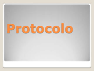 Protocolo