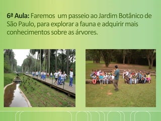 6ªAula:Faremos umpasseioaoJardimBotânicode
SãoPaulo,paraexplorarafaunaeadquirirmais
conhecimentossobreasárvores.
 