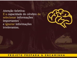 P R O J E T O P R E P A R A & E N C A M I N H A
Atenção Seletiva:
É a capacidade do cérebro de
selecionar informações
importantes
e ignorar informações
irrelevantes.
 