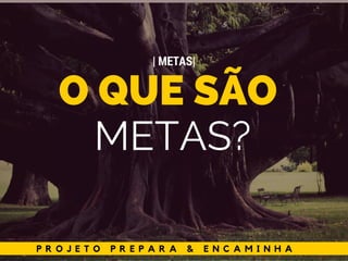 P R O J E T O P R E P A R A & E N C A M I N H A
O QUE SÃO
METAS?
| METAS|
 