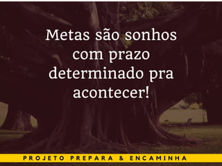 P R O J E T O P R E P A R A & E N C A M I N H A
Metas são sonhos
com prazo
determinado pra
acontecer!
 