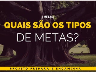 P R O J E T O P R E P A R A & E N C A M I N H A
QUAIS SÃO OS TIPOS
DE METAS?
| METAS|
 