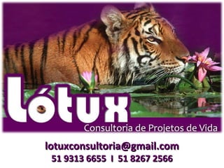 lotuxconsultoria@gmail.com
 51 9313 6655 I 51 8267 2566
 