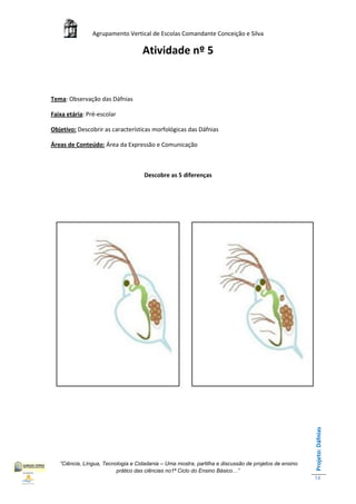 Agrupamento Vertical de Escolas Comandante Conceição e Silva

                                    Atividade nº 5


Tema: Observação das Dáfnias

Faixa etária: Pré-escolar

Objetivo: Descobrir as características morfológicas das Dáfnias

Áreas de Conteúdo: Área da Expressão e Comunicação



                                     Descobre as 5 diferenças




                                                                                                       Projeto: Dáfnias




   “Ciência, Língua, Tecnologia e Cidadania – Uma mostra, partilha e discussão de projetos de ensino
                          prático das ciências no1ª Ciclo do Ensino Básico…”
                                                                                                       14
 