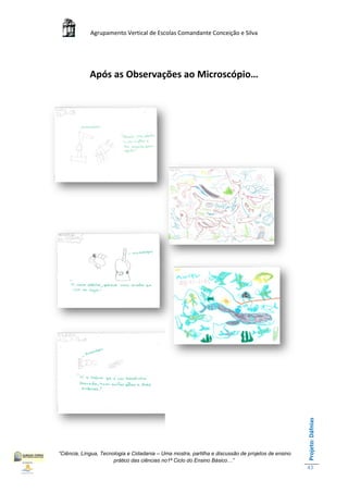 Agrupamento Vertical de Escolas Comandante Conceição e Silva




             Após as Observações ao Microscópio…




                                                                                                    Projeto: Dáfnias




“Ciência, Língua, Tecnologia e Cidadania – Uma mostra, partilha e discussão de projetos de ensino
                       prático das ciências no1ª Ciclo do Ensino Básico…”
                                                                                                    43
 